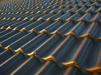 Dachziegel