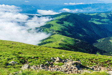 Fototapeta na wymiar Beautiful green high mountain landscape (Collada Fonda, Catalan Pyrenees, Spain).