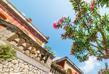 Elegant building and oleander tree in world famous Capri island