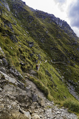 Fototapeta premium Landscape with rocky mountain peaks in summertime