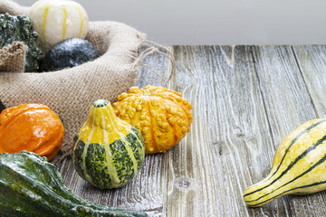 Various Gourds on Wood