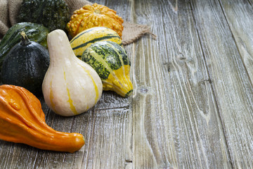 Various Gourds on Wood