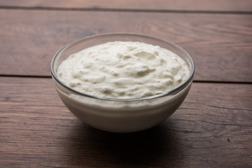 Plain curd or yogurt or Dahi in Hindi, served in a bowl over moody background. Selective focus