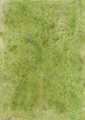 Olive watercolor background