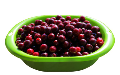 
Ripe, bright cherry in a bowl. isolate on white background.vegetarianism and vitamins
