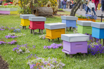 horizontal image of many houses for bees of various colors in a public garden