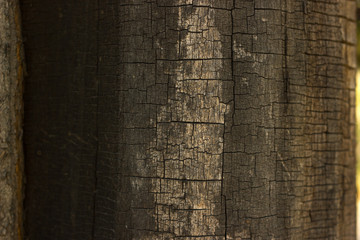 Cracked old wood background