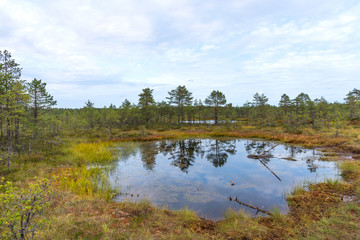 Viru bog (Viru raba) in the Lahemaa National Park in Estonia.