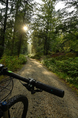 Fototapeta na wymiar Mountainbike Rad Radweg im Wald