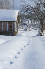 Winter rural landscape with abandoned summer small house covered with snow and footprints in the snow