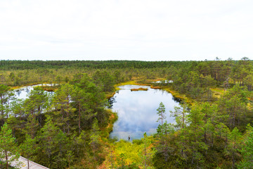 Viru bog (Viru raba) in the Lahemaa National Park in Estonia.