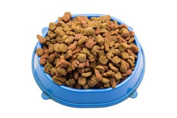 Cat and dog food on white background