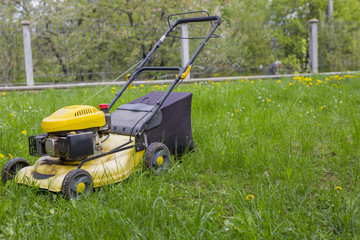 Fototapeta premium horizontal image of a yellow lawnmower in a garden.