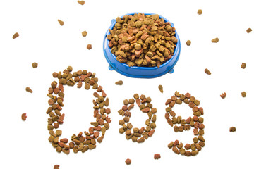 Cat and dog food on white background