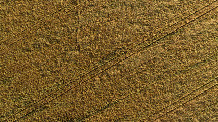 Aerial view of the field with autumn harvest. Horizontal pattern from an agricultural crop.