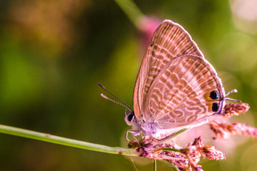 Obraz premium on one side