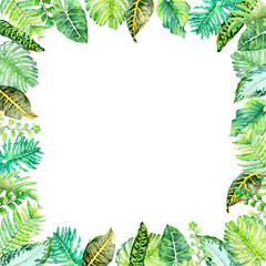 Watercolor floral arrangements with leaves, herbs, flowers.