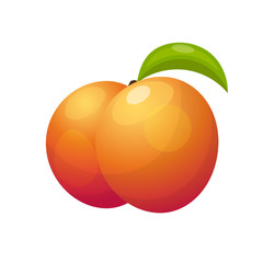 Ripe peaches, whole and slice. Vector illustration.