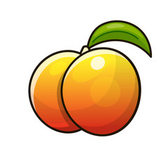 Ripe peaches, whole and slice. Vector illustration.