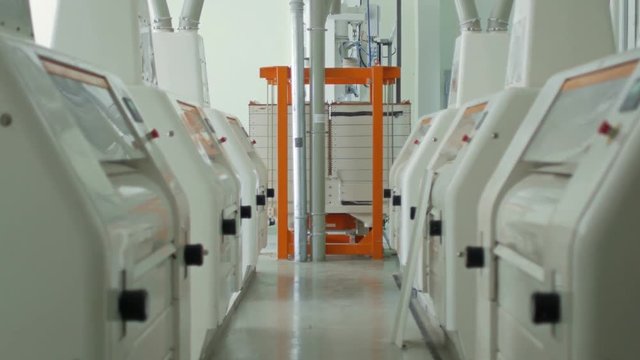 Modern automated grist mill, flour factory with equipment