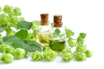 Fresh green hop branch (Humulus) with medicinal plant extract in glass bottles isolated on white...