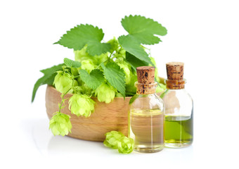 Hop cones (Humulus) with medicinal plant extract in glass bottles isolated on white background