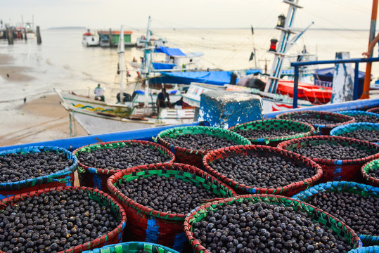 a&ccedil;a&iacute;, bel&eacute;m do par&aacute;
