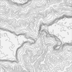 Topographic map background concept with space for your copy. Topo contour map background, vector illustration