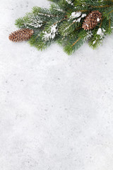 Christmas fir tree branch covered by snow card