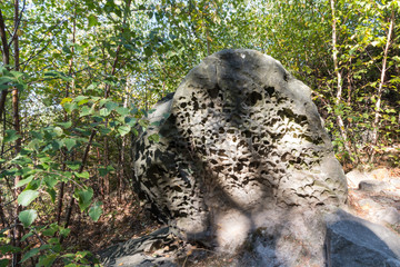 View of a big old stone with washed out patterns.