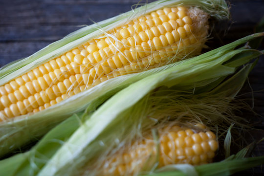 fresh organic corn