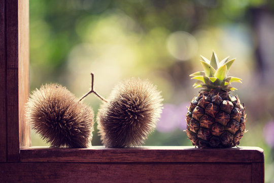Tiny Pineapple On Ledge