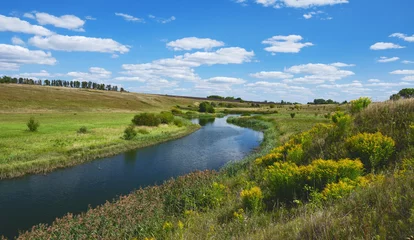 Fototapete Rund Sunny summer landscape with river curve and growing on the riverbank yellow blooming flowers of solidago virgaurea(european goldenrod or woundwort).Beautiful view of fields,meadows,pastures and woods. © valeriy boyarskiy