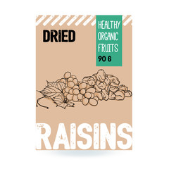 Beautiful vector hand drawn Grapes organic, raisin. Template elements collection for packaging design. Modern illustrations isolated on white background..