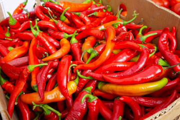 Red chili pepper on the market