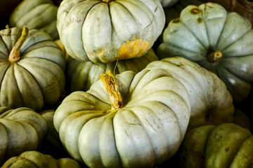 White pumpkins in a random pile 
