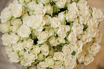 Adorable little white roses decorated with green leaves