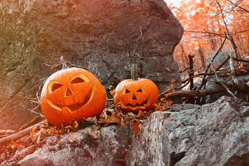 Funny pumpkins on rocks with leaves