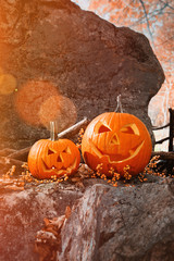 Funny pumpkins on rocks with leaves and berries