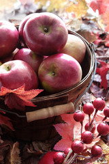 Red apples in basket and berries