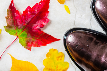 Lace Up Brogues with Autumn Leaves as a background