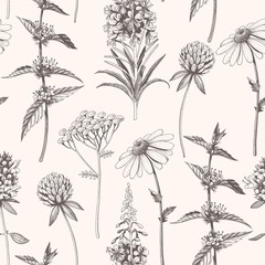 Vector hand drawn meadow flowers seamless pattern