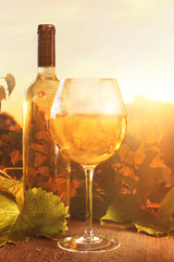 Glasse of white wine and bottle against vineyards