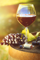 Closeup of glasse of red wine and grapes