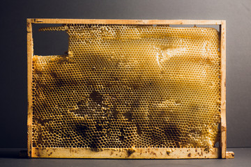 Background texture and pattern section of wax honeycomb from bee hive filled with golden honey in...