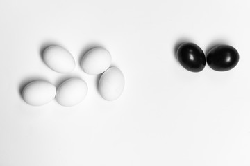 on a white background, white eggs and one black symbolizing diversity, separation, concretion and leadership