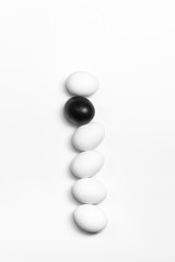 on a white background, white eggs in a row and one black symbolizing diversity, separation, concretion and leadership