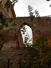 Ruins of a beautiful old red brick building and autumn leaves