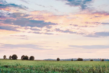 Green meadow during the sunset with beautiful sky