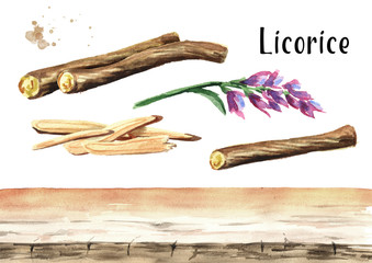 Licorice root and flower background elements. Watercolor hand drawn illustration, isolated on white background